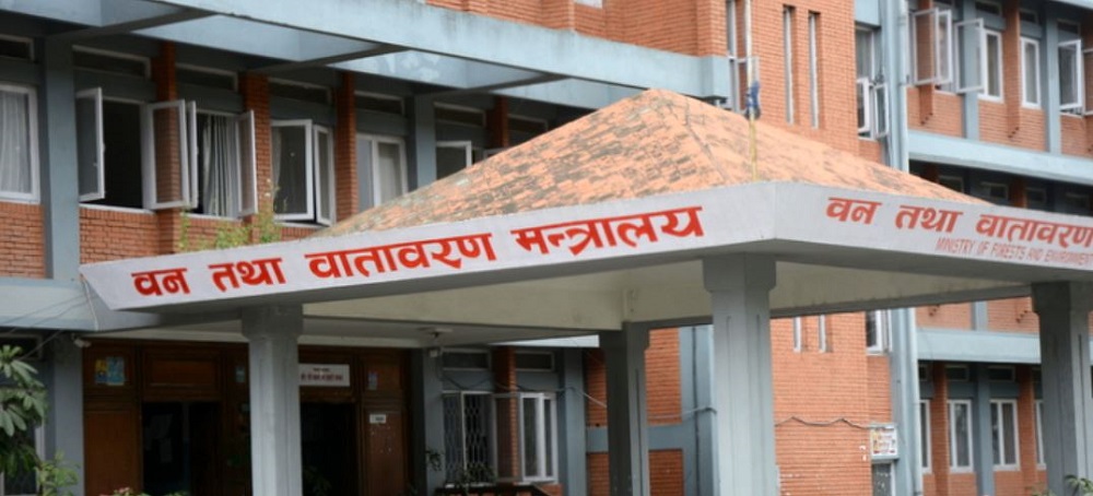 स्वार्थसमूह हाबी हुँदा वन सुधार अवरुद्ध