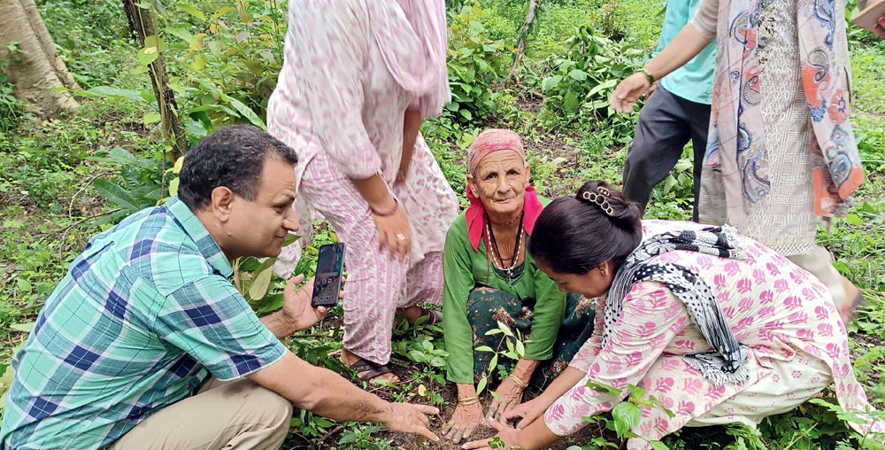 राष्ट्रिय युवा संघद्वारा कञ्चनपुरमा बृहत वृक्षारोपण