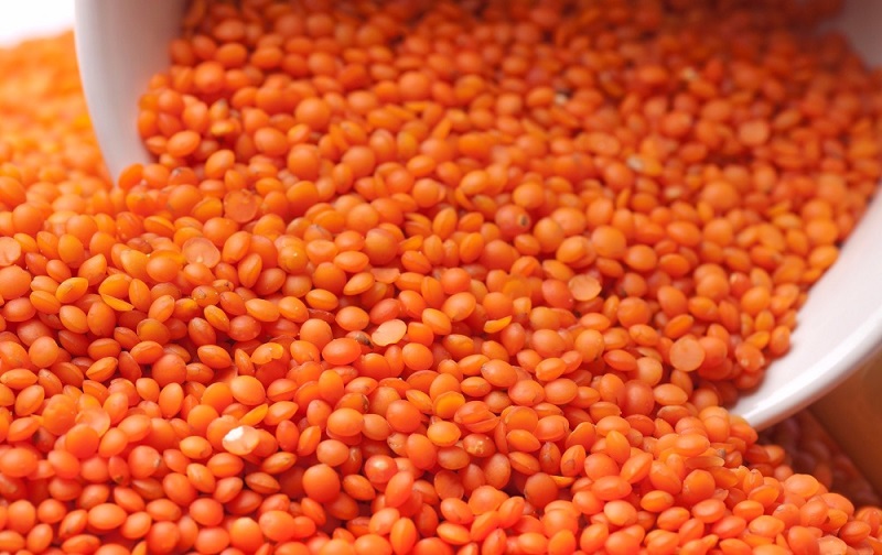 ४८ करोड ३३ लाख रुपैयाँको मुसुराको दाल निर्यात