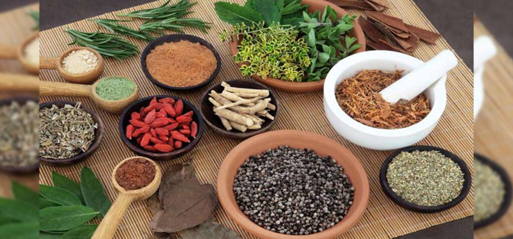 झापामा आयुर्वेदिक उपचारमा आकर्षण बढ्दो