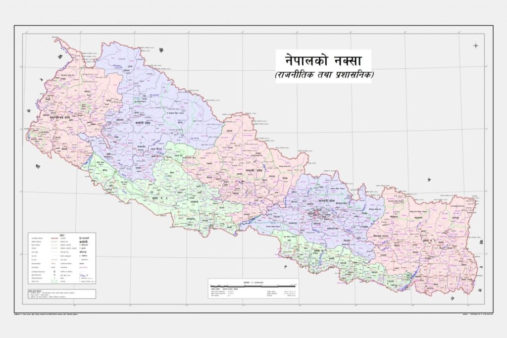 पाल्पामा नेपाल वडा संघ गठन