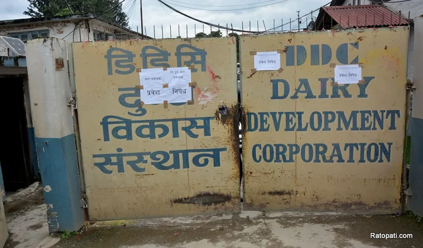 भुक्तानीका लागि डिडिसीले माग्यो ऋण