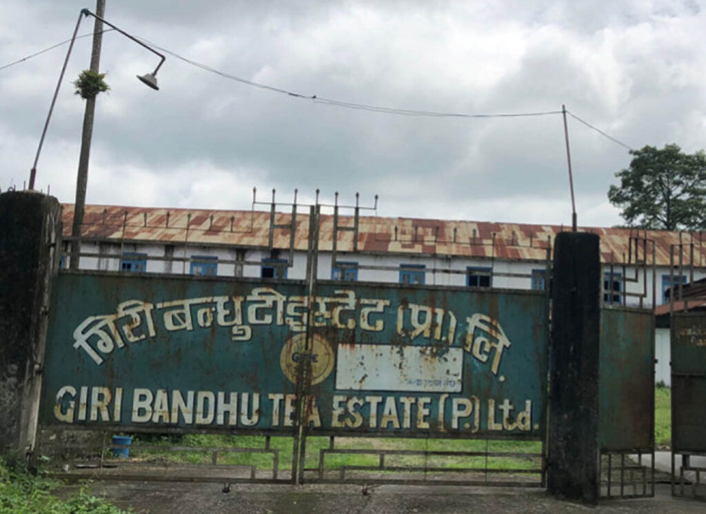 गिरीबन्धुको ३४३ बिघा जग्गा विवाद : सरकारबाट निर्णय गराउने ढुक्क भएर २०७३ मै भएको थियो तमसुक