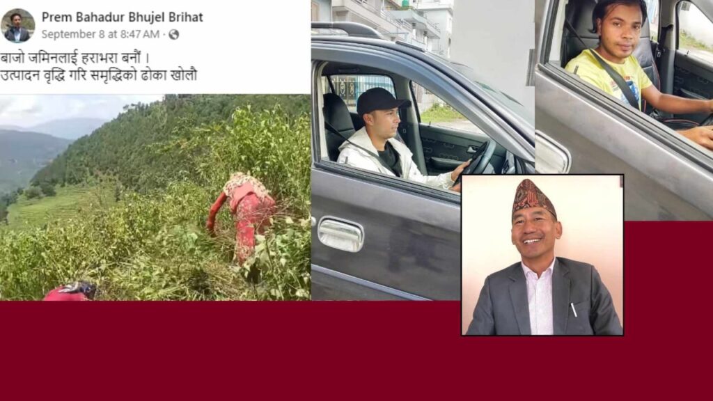 एमाले युवाको भविष्य खोज्न व्यस्त,पालिका अध्यक्ष घाँस फाँडेको भिडियो हालेर मस्त 