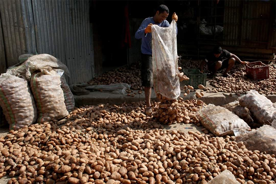 किसानलाई नयाँ बाली लाउदा सधै बीउकै चिन्ता