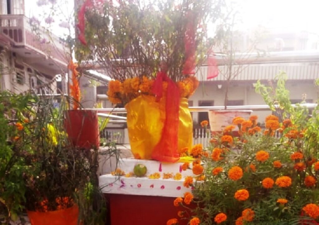 हरिबोधिनी एकादशी आज, तुलसीको व्रत र विशेष पूजा गरींदै