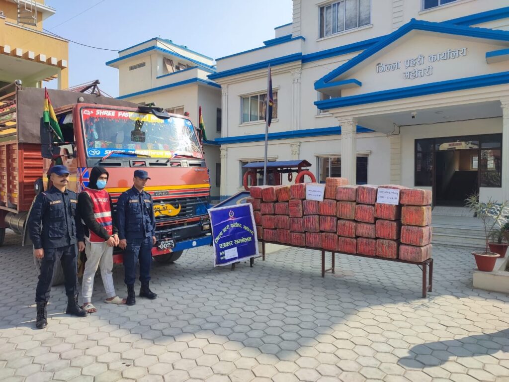 ६०४ किलो गाँजा बोकेको ट्रक र चालक प्रहरीको नियन्त्रणमा