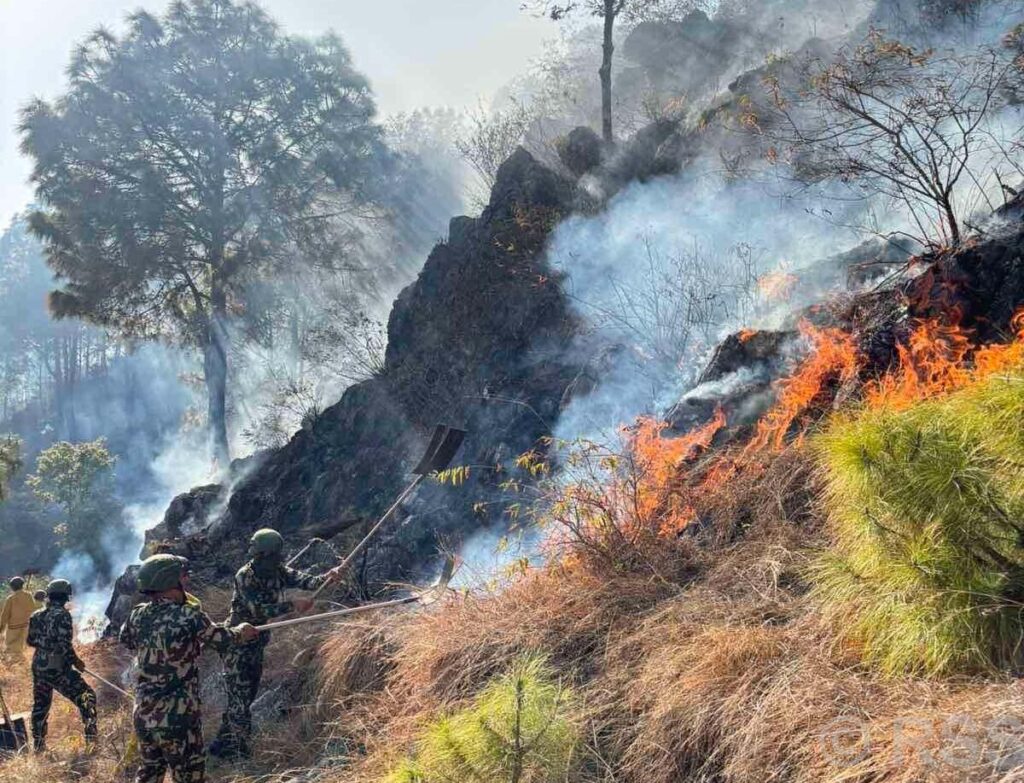 पाल्पाको संसारकोट डाडामा लागेको आगो अझै नियन्त्रणमा आएन