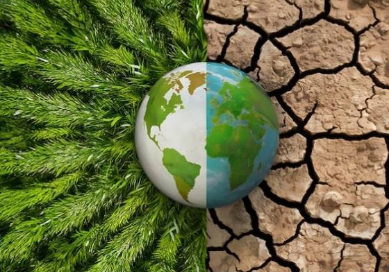 जलबायु परिवर्तन: सन् २०३५ सम्ममा खाद्यान्नको मूल्य दोब्बर हुने