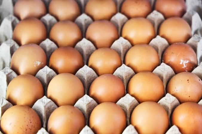 अण्डाको मूल्य प्रतिक्रेट ५५ रुपैयाँले वृद्धि